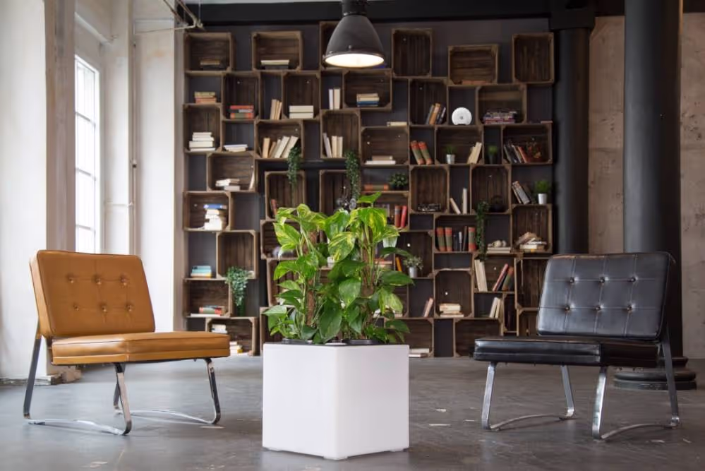 Luftreiniger Florafilt und Luftanalysator air-Q in Lounge mit Bücherregal