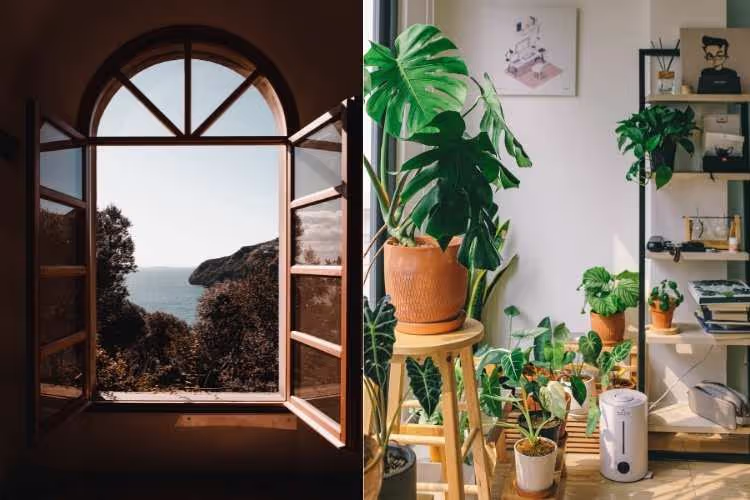 Collage aus zwei Bilder: links dunkler Raum. kt großem, geöffnetem Fenster, rechts Zimmer mit vielen Grünpflanzen, die das Raumklima verbessern