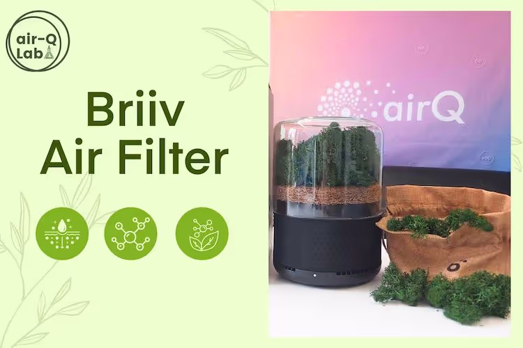 Luftreiniger Briiv mit Nachfüllpack Moos und air-Q Lab Logo auf grünem Hintergrund