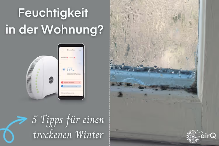 Collage Messgerät air-Q und Fenster, an dem Feuchtigkeit runter läuft