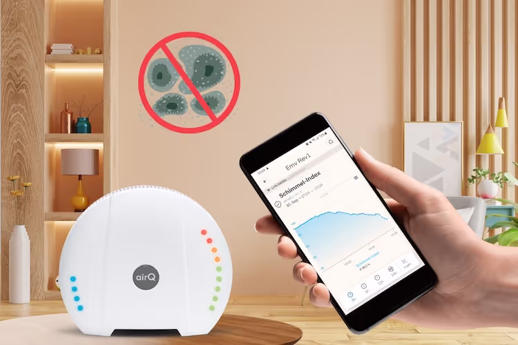 Wohnzimmertisch, auf dem das Luftmessgerät air-Q steht, im Vordergrund hält eine Hand ein Smartphone mit geöffneter air-Q App
