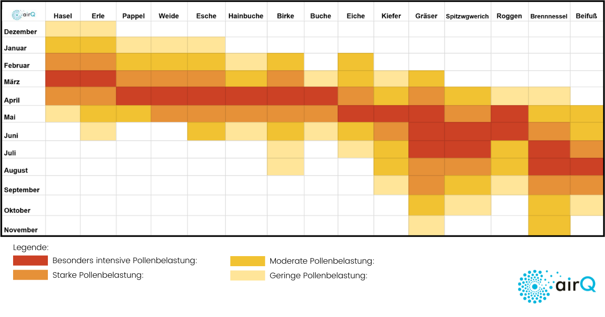 tabellarischer Pollenflugkalender, der die monatliche Pollenbelastung mit einer Farbskala von Gelb bis Rot anzeigt
