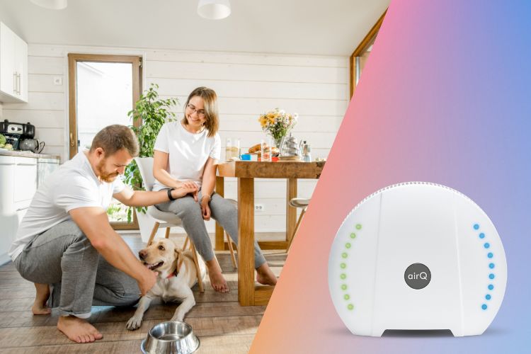 Vater und Kind in der Wohnung mit air-Q zum Ammoniak messen