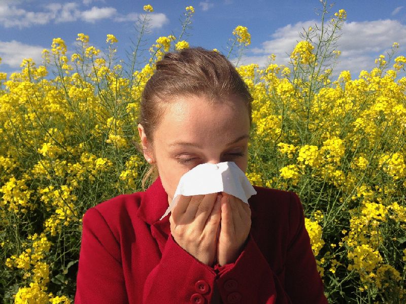 Allergien vermeiden und vorbeugen mit dem air-Q