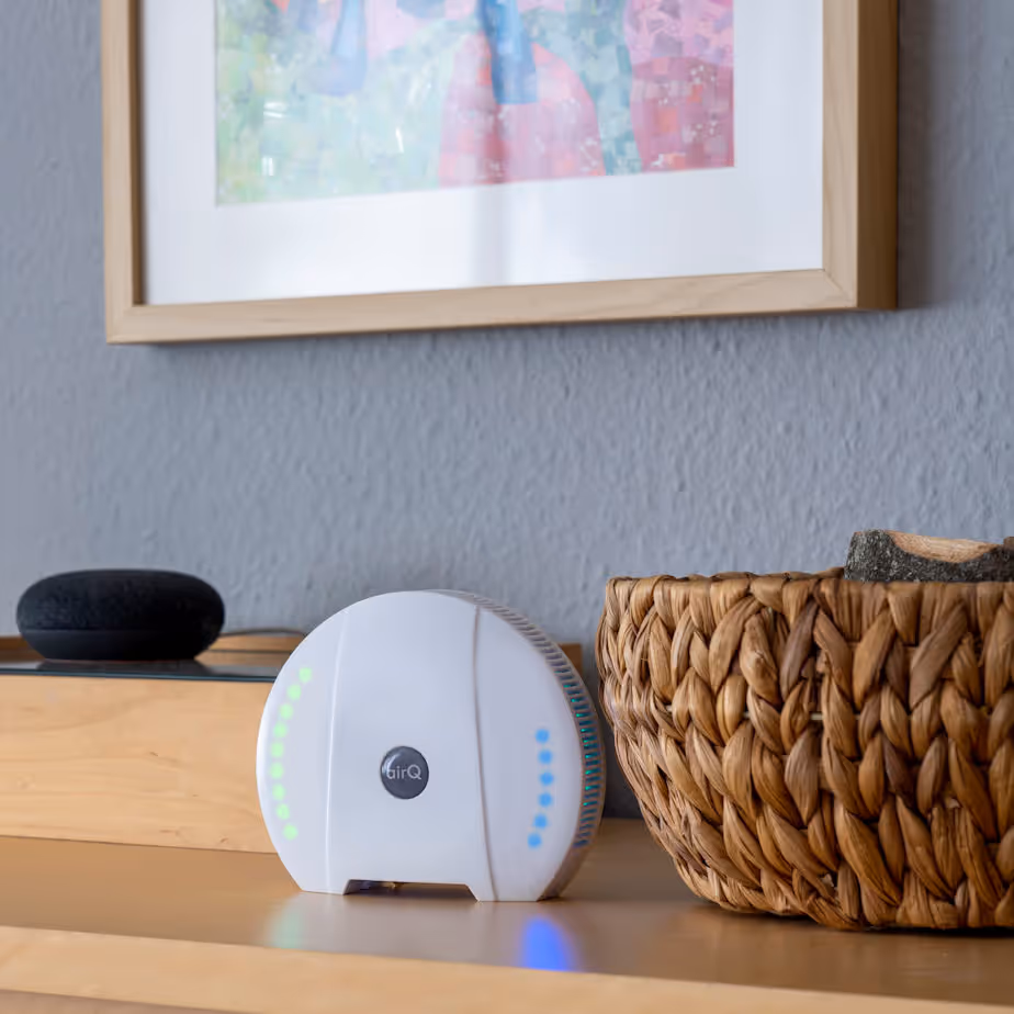 air-Q Luftqualität Messgerät im Smart Home