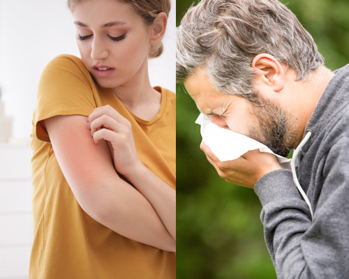 Verstärkung von Allergien durch Feinstaub und Stickoxide
