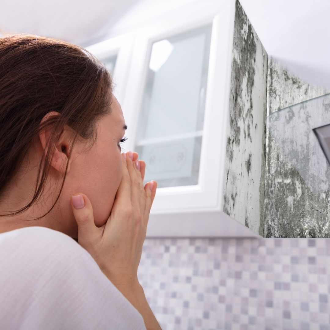 Tipps gegen Schimmel